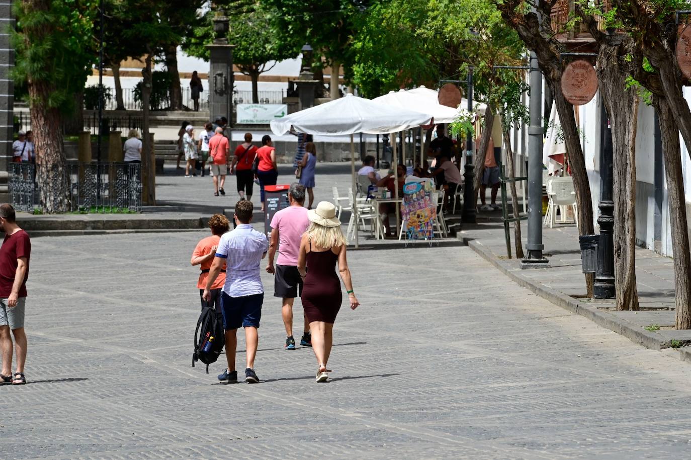 Las altas temperaturas sofocan Gran Canaria