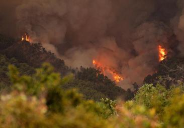 El fuego arrasa Tenerife