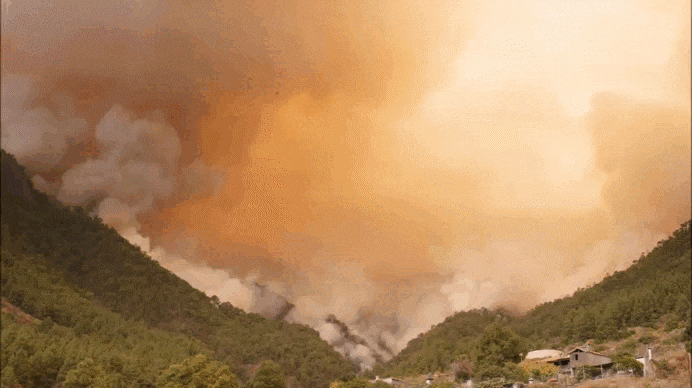 Fuego en la zona de Los Márgenes, en el pueblo de Igueste de Candelaria, Tenerife.