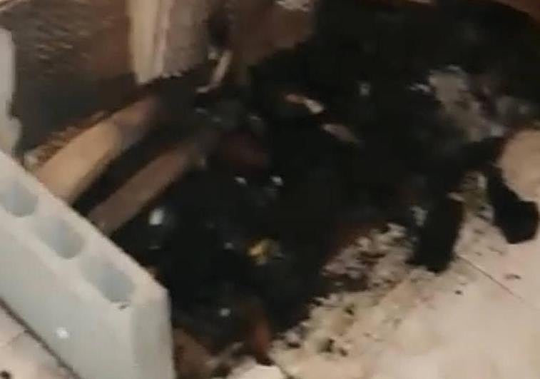 Imagen de la pira crematoria que Paco hizo para quemar el cuerpo.