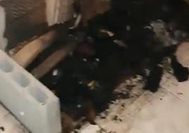 Imagen de la pira crematoria que Paco hizo para quemar el cuerpo.