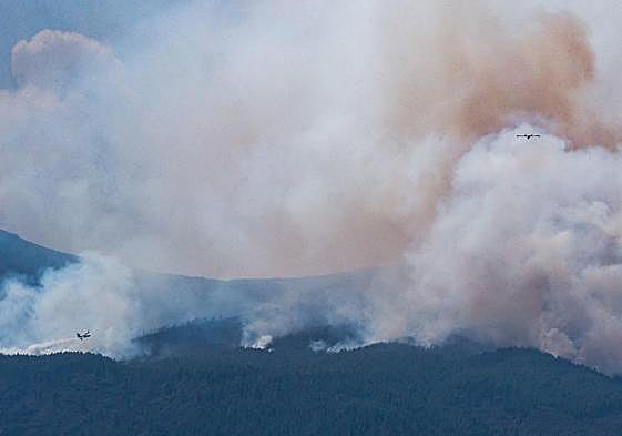 Dos hidroaviones descargan agua sobre el incendio forestal que afecta a Tenerife en Güimar.