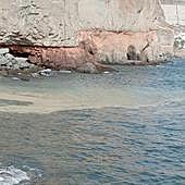 El alcalde en funciones de Mogán confirma la presencia de microalgas en la costa