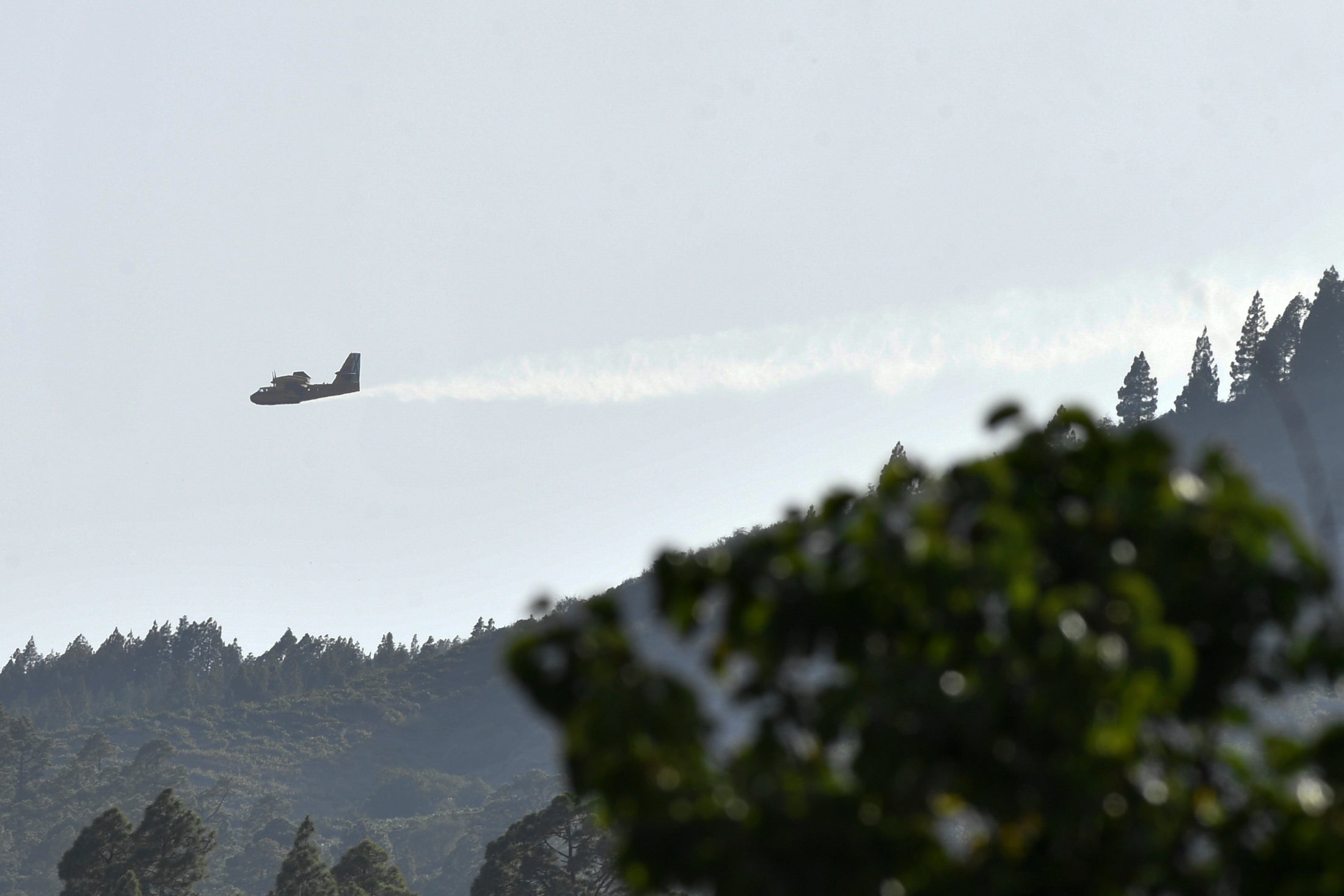 Hidroaviones: La estela de la esperanza sobre Tenerife