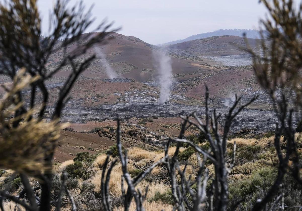 El incendio de Tenerife está estabilizado tras nueve días de intensa lucha