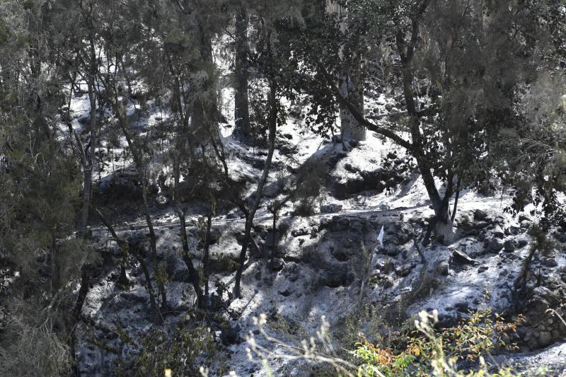 Las secuelas del fuego en Tenerife