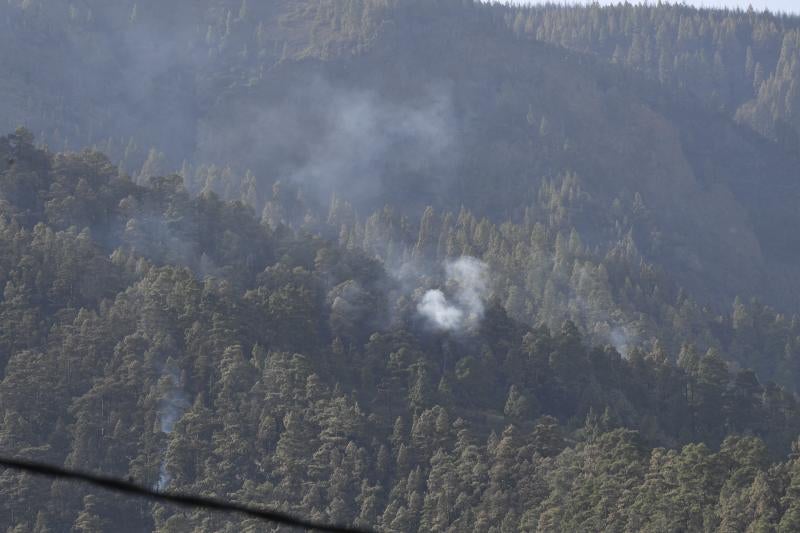 Las secuelas del fuego en Tenerife