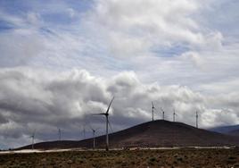 Cinco islas en riesgo por fuerte oleaje y vientos de hasta 70Km/h