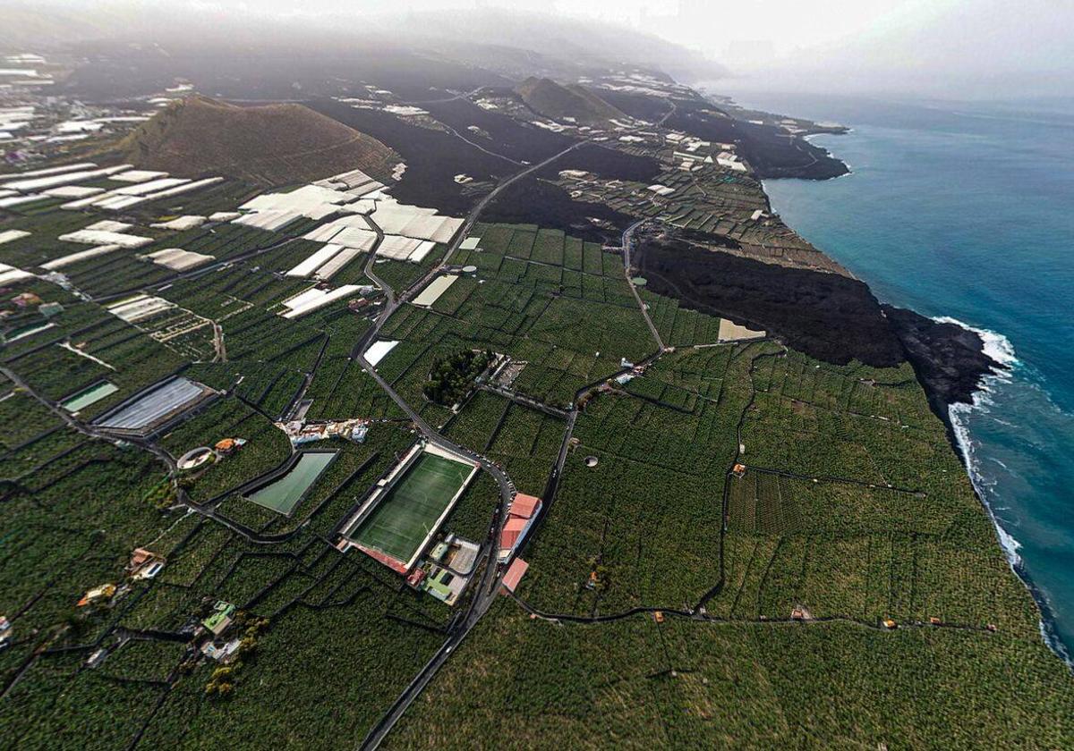 Imagen aérea de plataneras en La Palma.