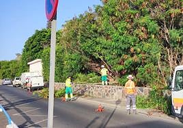 Operarios en los trabajos de regeneración paisajística en el entorno del Anexo II.