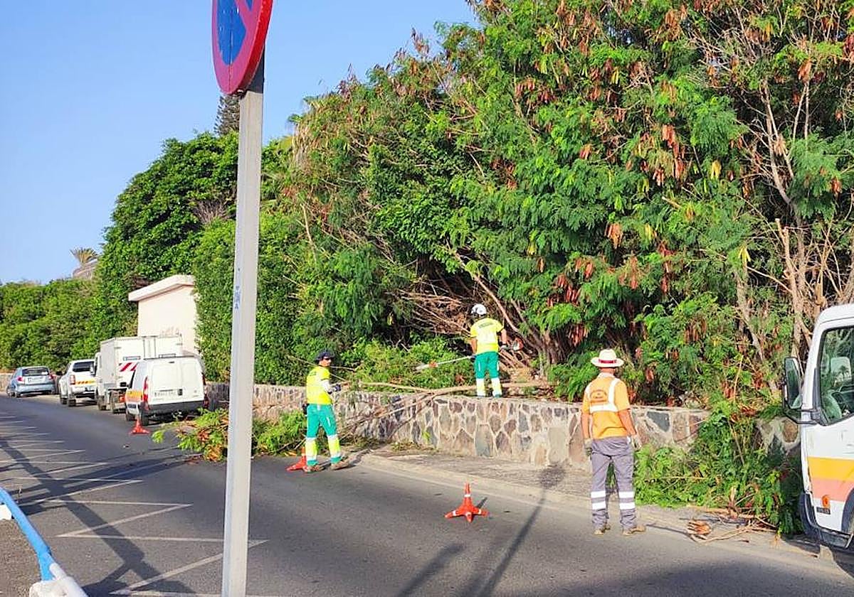 Operarios en los trabajos de regeneración paisajística en el entorno del Anexo II.