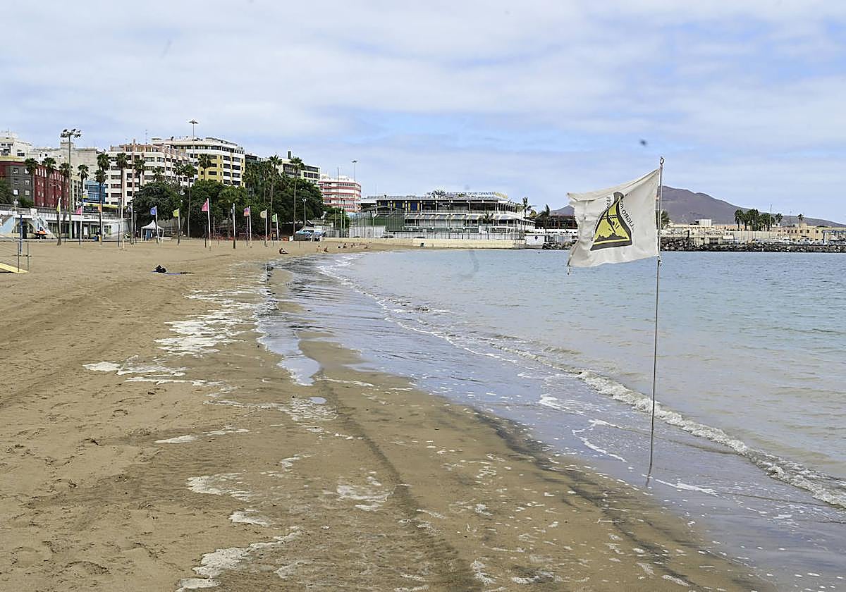La bacteria esquiva: «Seguimos buscando»