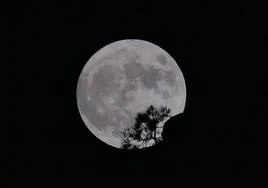 Imagen de la superluna captada en la zona de la montaña del Aserrador por Ayacata.