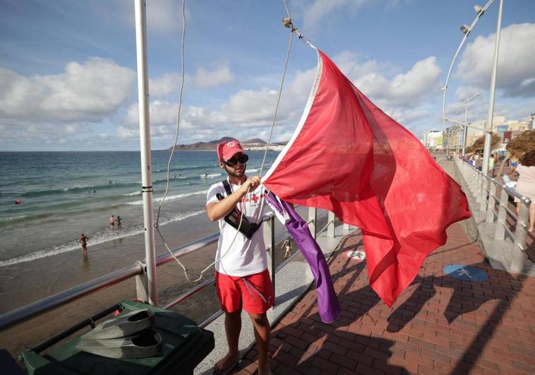 Bandera lila en Las Canteras por la presencia de tiburones martillo