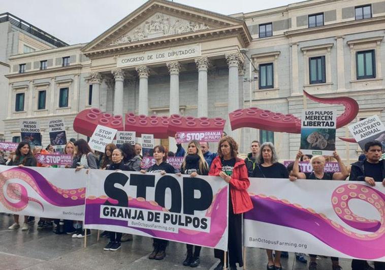 Protestan frente al Congreso contra la granja de pulpo de Gran Canaria