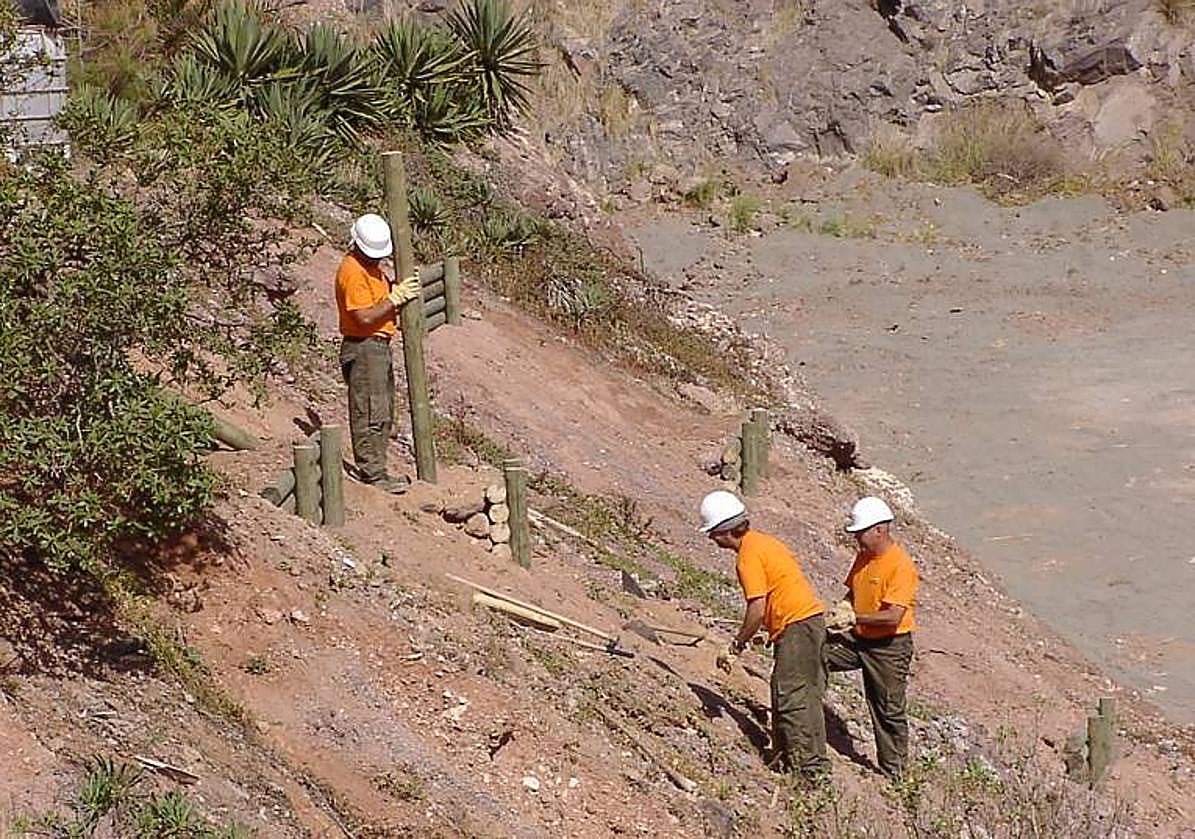 Trabajos de construcción de una albarrada en un barranco de la isla.