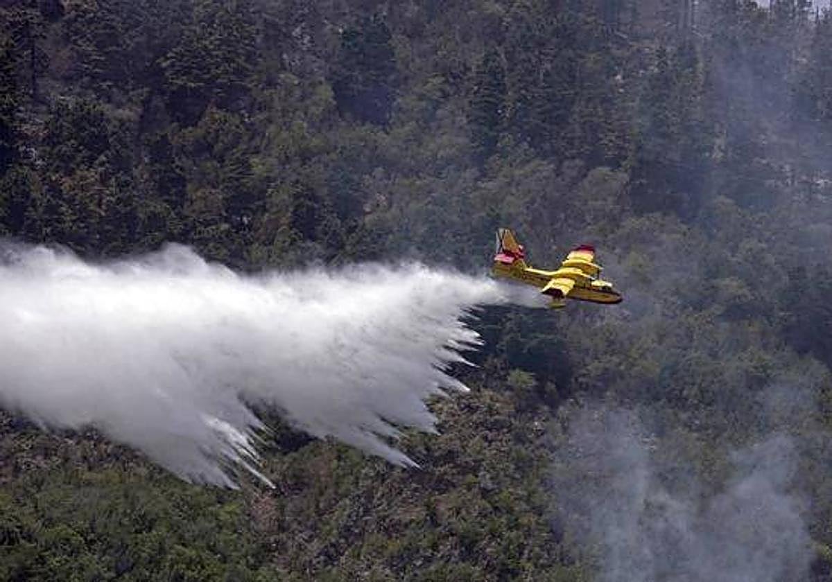 Trabajos de extinción en el incendio de Tenerife.
