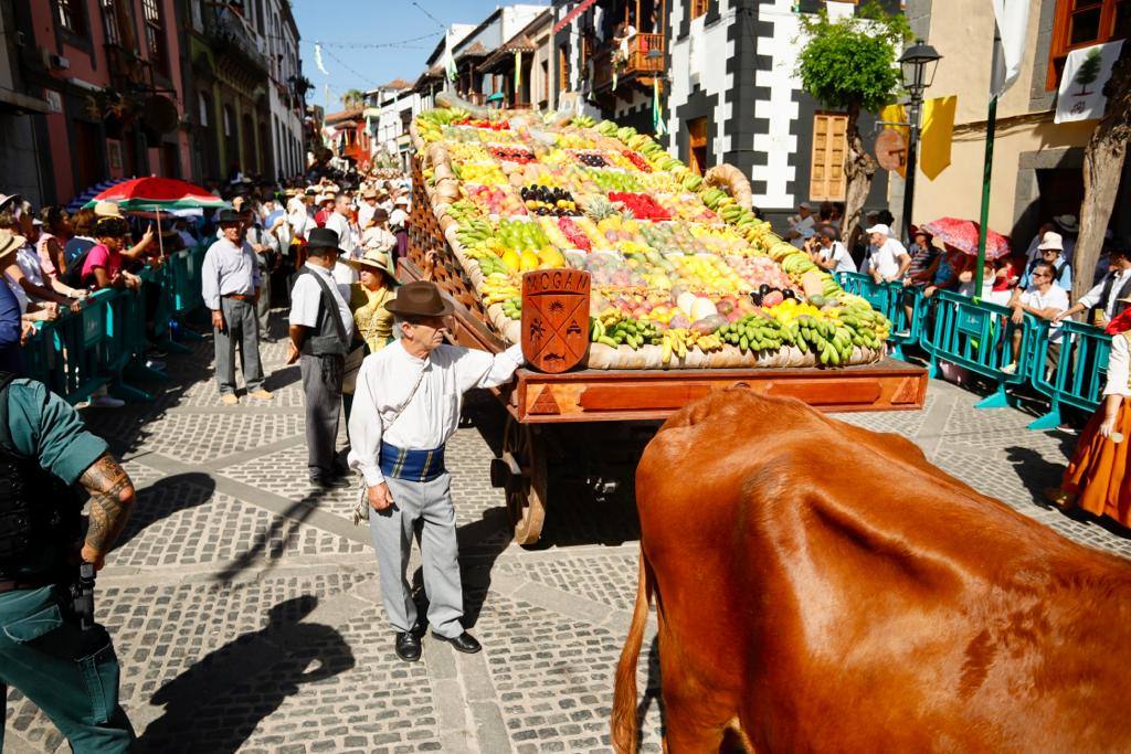 Romería y ofrendas en la basílica de Teror