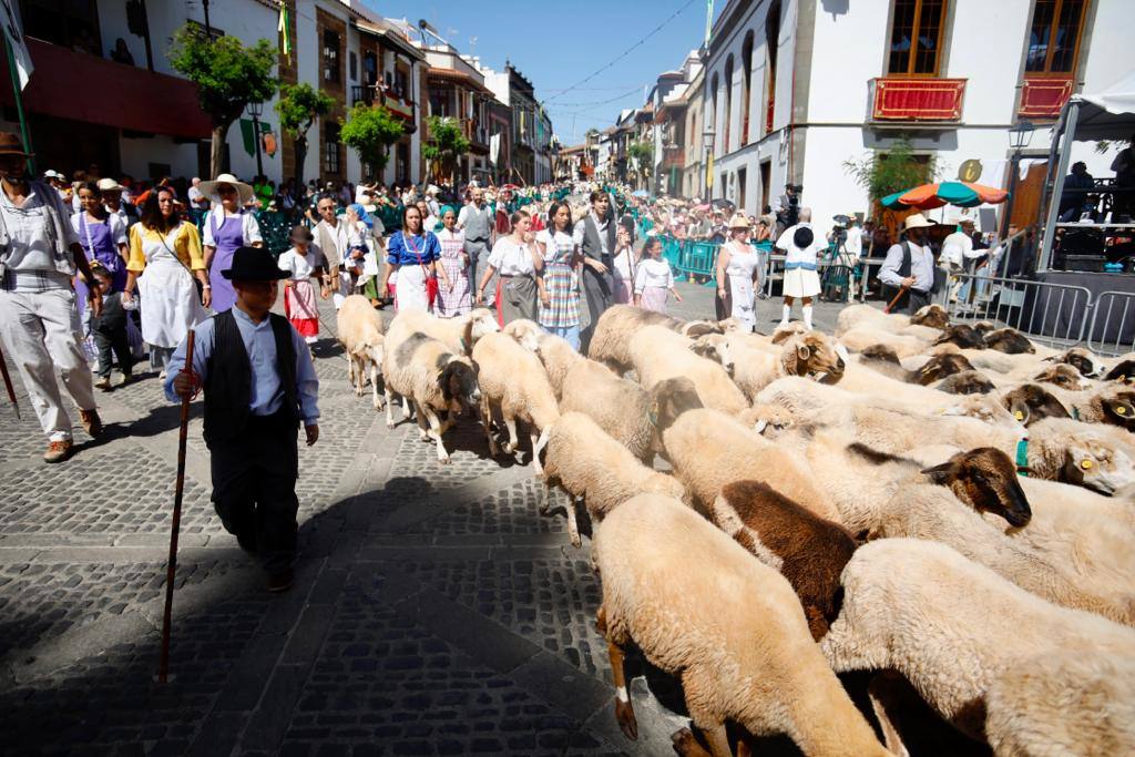 Romería y ofrendas en la basílica de Teror