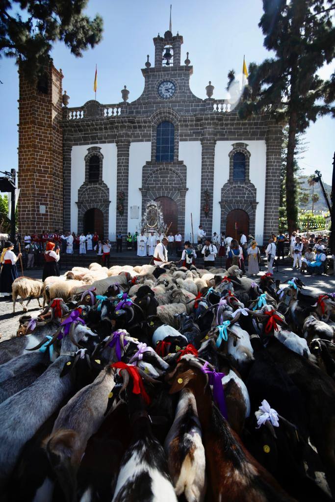 Romería y ofrendas en la basílica de Teror