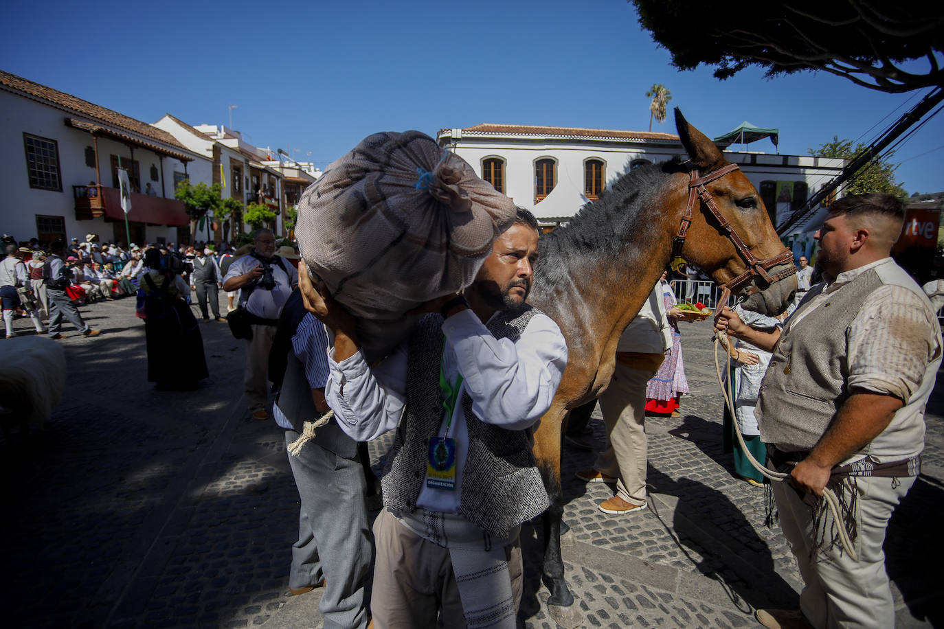 Romería y ofrendas en la basílica de Teror