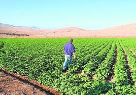 La dependencia de las islas del exterior para su abastecimiento es elevada.