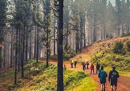 La Gran Canaria Walking Festival arrancará el próximo 19 de octubre con cuatro rutas especiales de senderismo.
