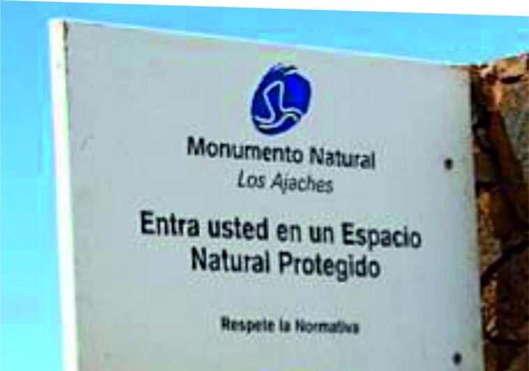 «Rechazo enérgico» de Ecologistas en Acción a las nuevas torretas eléctricas