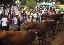 Tradiciones y turismo en Valleseco
