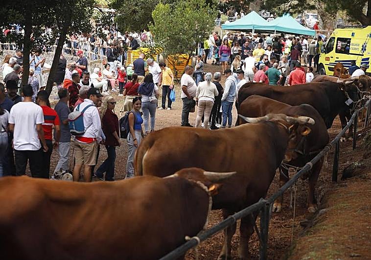 Tradiciones y turismo en Valleseco