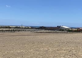 Parte del sector de Meloneras que está todavía pendiente de desarrollar.