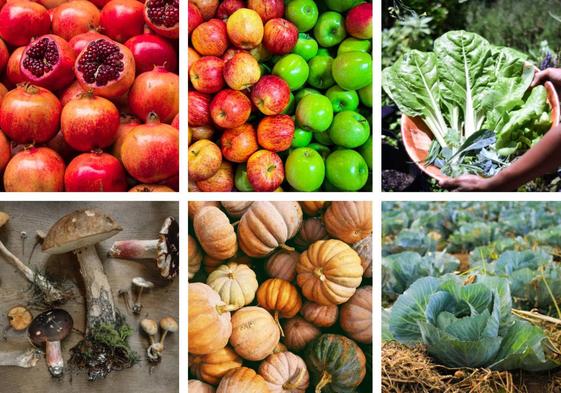 Frutas, verduras y hortalizas de otoño