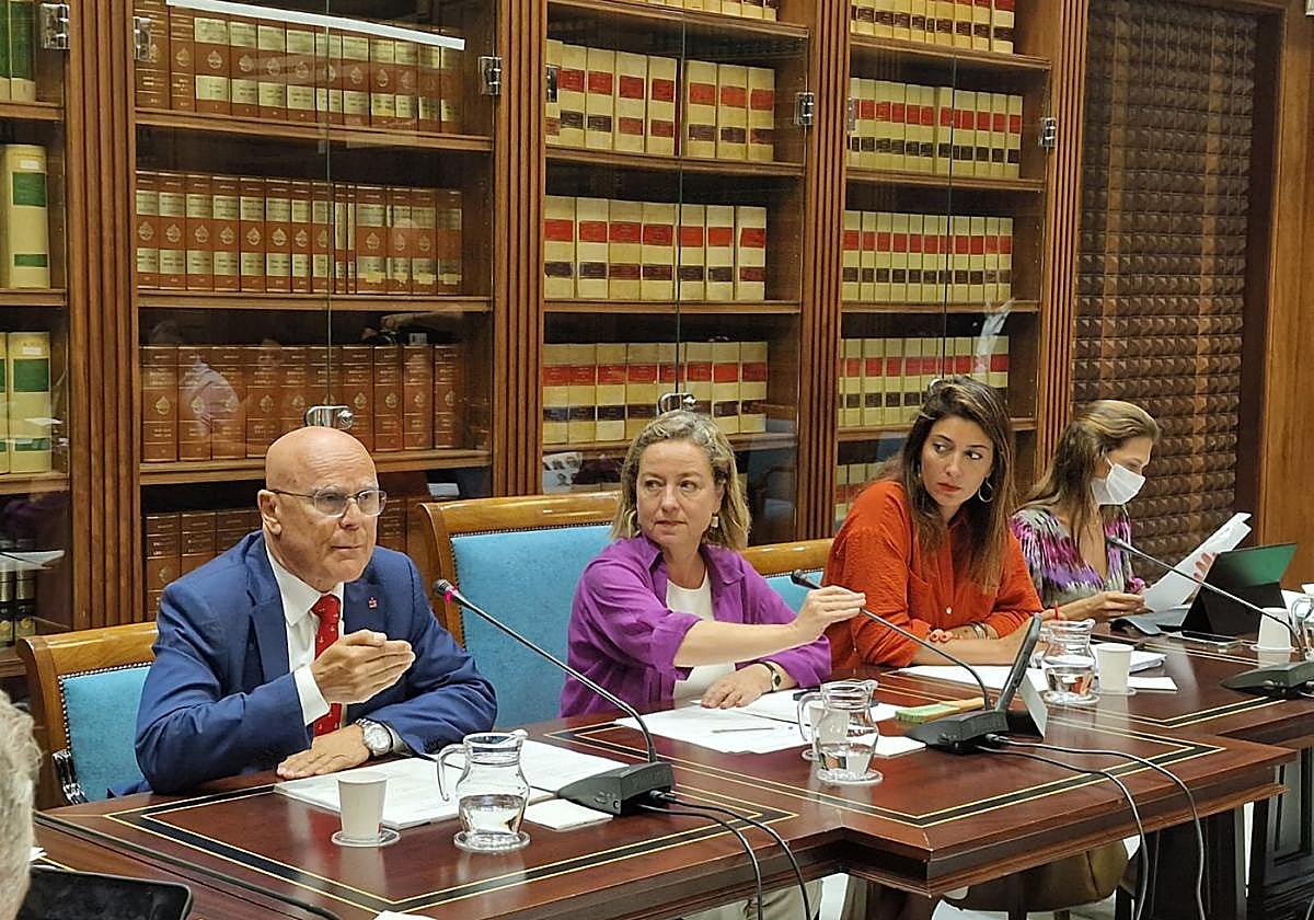 El Diputado del Común, Rafael Yanes, junto a la presidenta de la Comisión de Discapacidad y vicepresidenta primera del Parlamento, Ana Oramas (c).