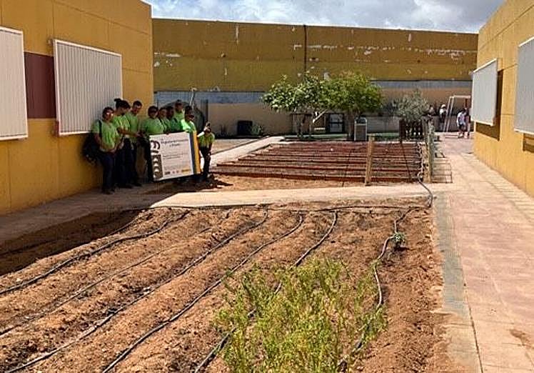 En un huerto escolar.