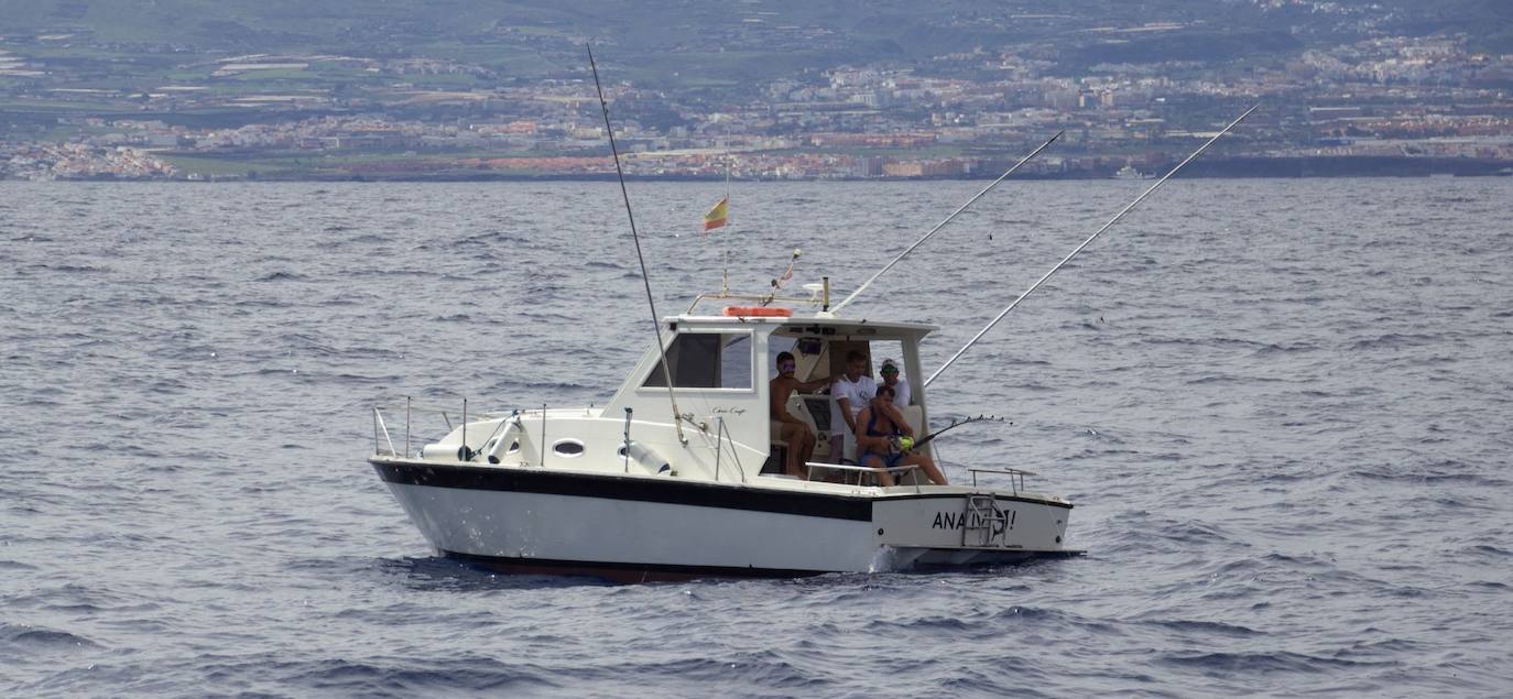 Las Palmas de Gran Canaria recupera un concurso de pesca desde embarcación en todas sus modalidades.