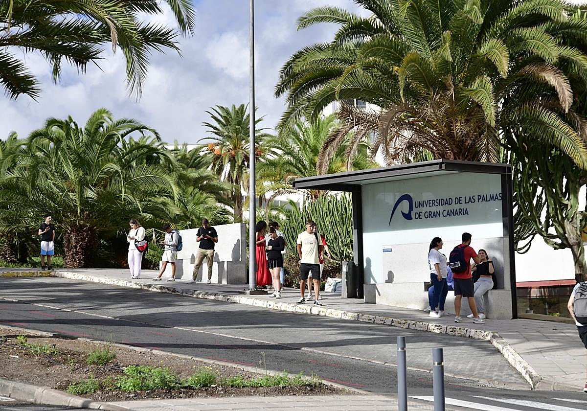 Estudiantes de la ULPGC en una parada de guaguas en el campus de Tafira.