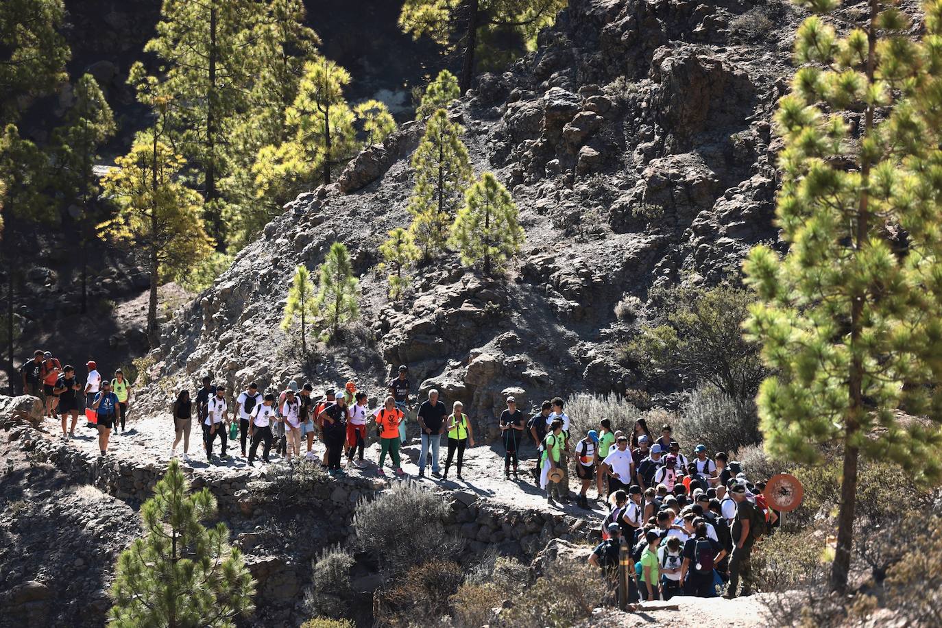 La edición de 2023 tiene como propósito la lucha contra el cáncer.