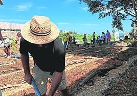 El Cabildo y la Fundación Lidia García, a través de la participación ciudadana, trabaja en la creación de una zona productiva en Los Tarahales.