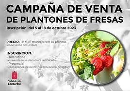 Cartel de la campaña.