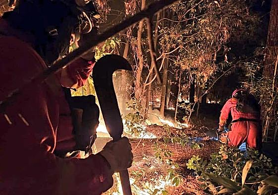 Imagen de los trabajos de extinción en la zona de Arafo.