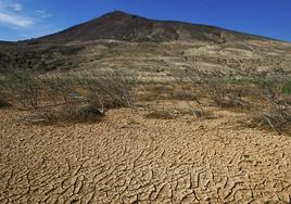 Canarias se desertifica: el clima árido se extiende cada año 6 km2 por el calentamiento global