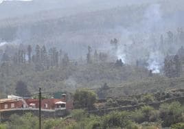 Incendio Tenerife.