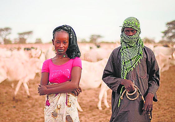 Imagen de la exposición 'A la sombra de las acacias', que se inauguró el viernes en Casa África.