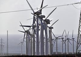 Descargue el Especial Energía, Eficiencia y Sostenibilidad en formato PDF