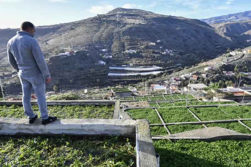 Las berreras de La Solana, en imágenes