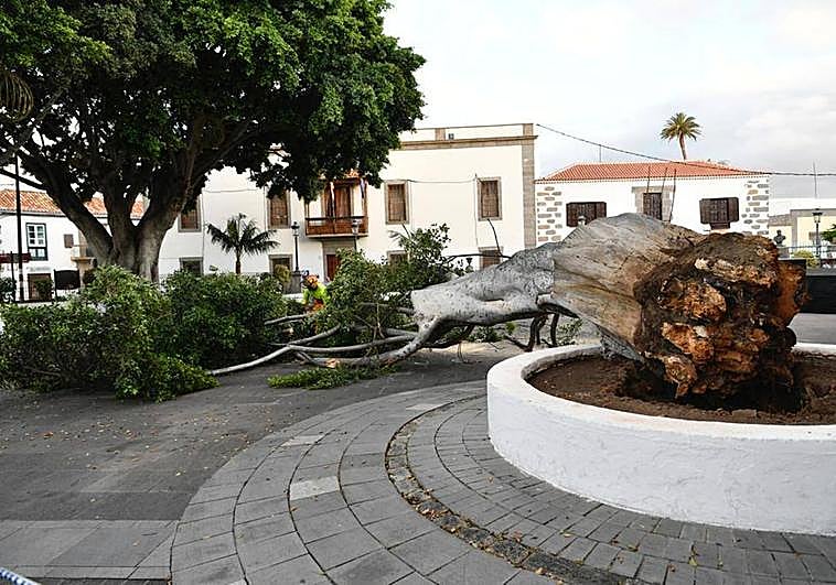 A última hora de la noche de este martes yacía en medio de la plaza de San Juan.