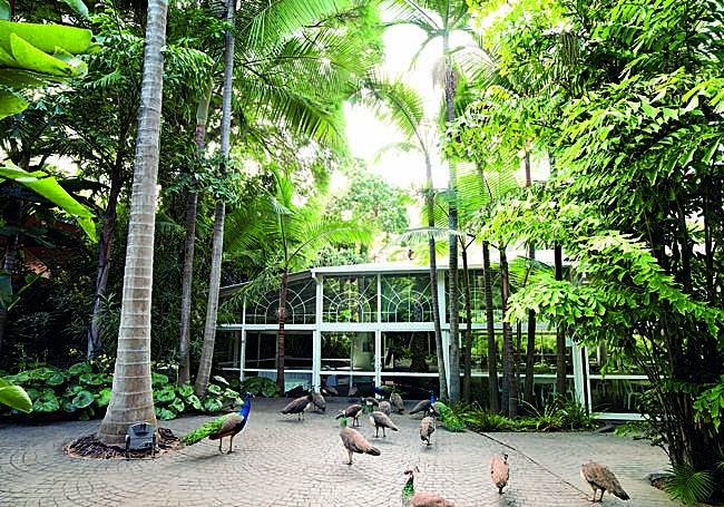 Jardín de la Marquesa.