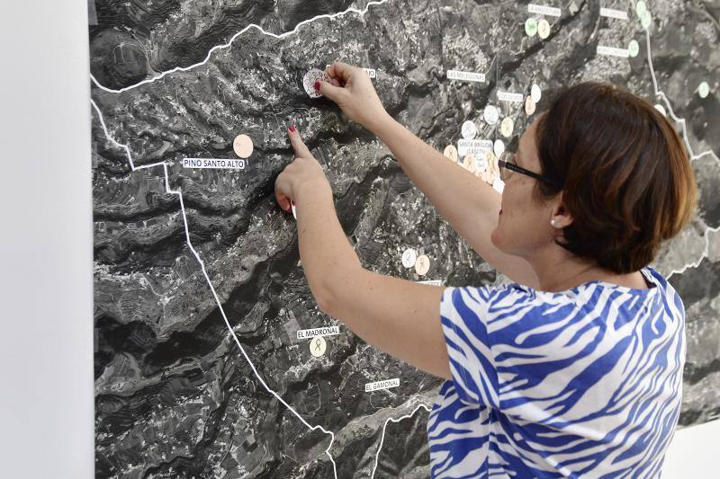 Participación ciudadana para el mamotreto de Santa Brígida