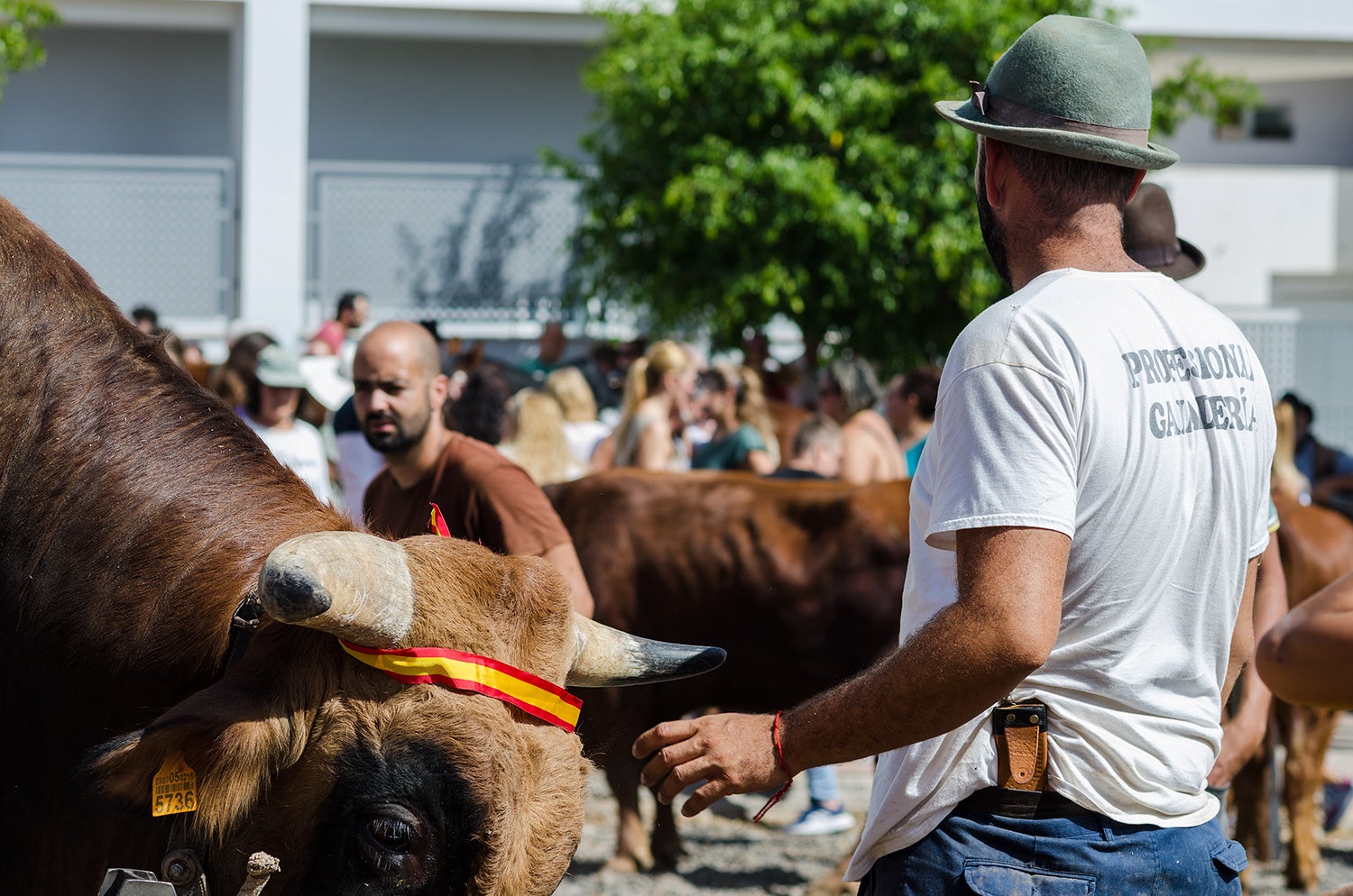 Santa Lucía de Tirajana honra a su copatrón, a San Rafael