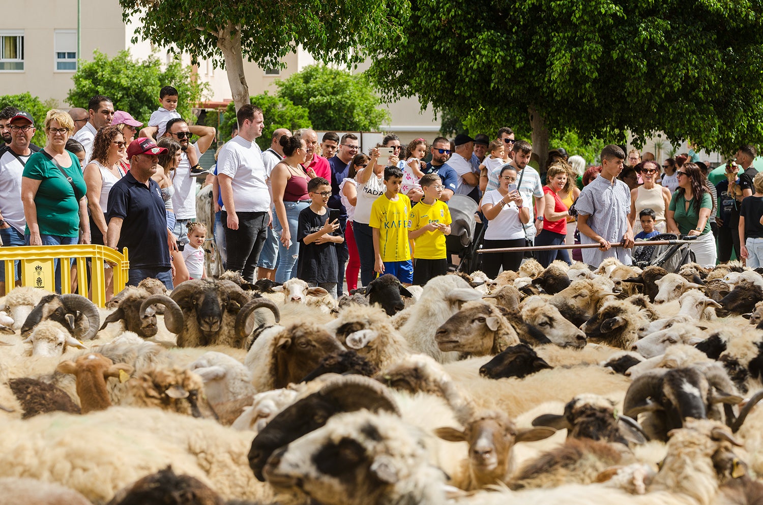 Santa Lucía de Tirajana honra a su copatrón, a San Rafael